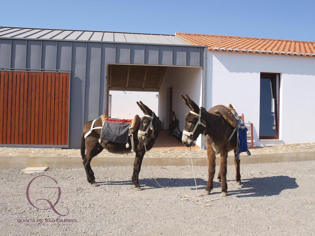 Quinta De Sao Gabriel Villa Кастро Марим Екстериор снимка